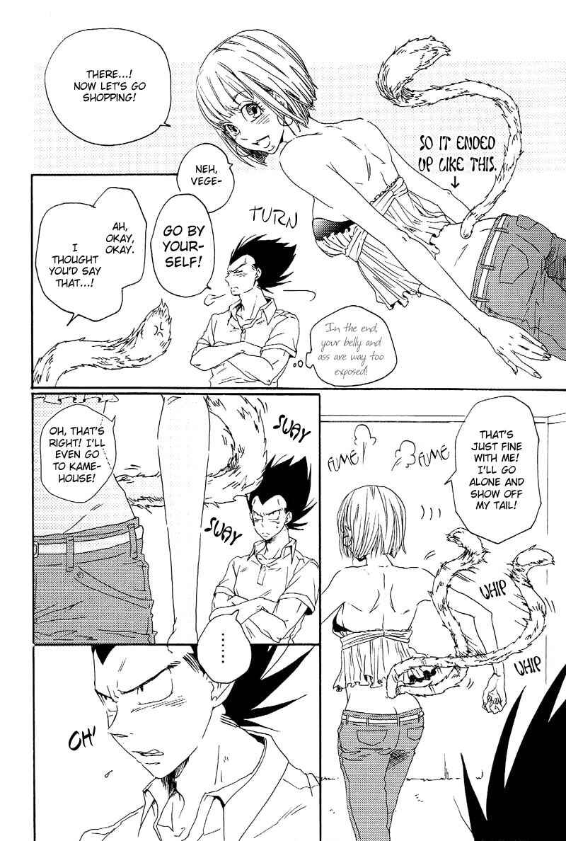 Page 21 Chapter Unknown_6db0 Dragon Ball Z - Tail Book (Doujinshi)