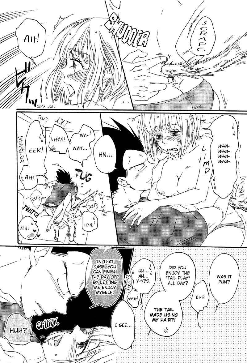 Page 27 Chapter Unknown_6db0 Dragon Ball Z - Tail Book (Doujinshi)