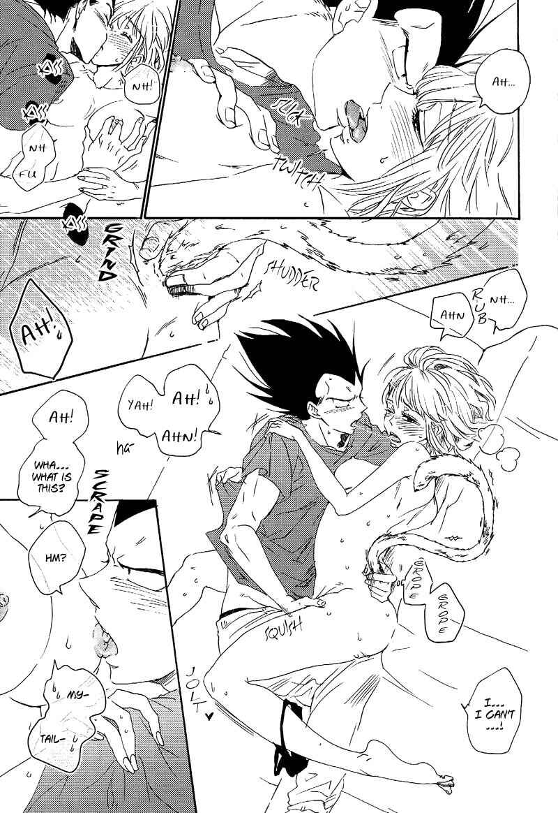 Page 28 Chapter Unknown_6db0 Dragon Ball Z - Tail Book (Doujinshi)