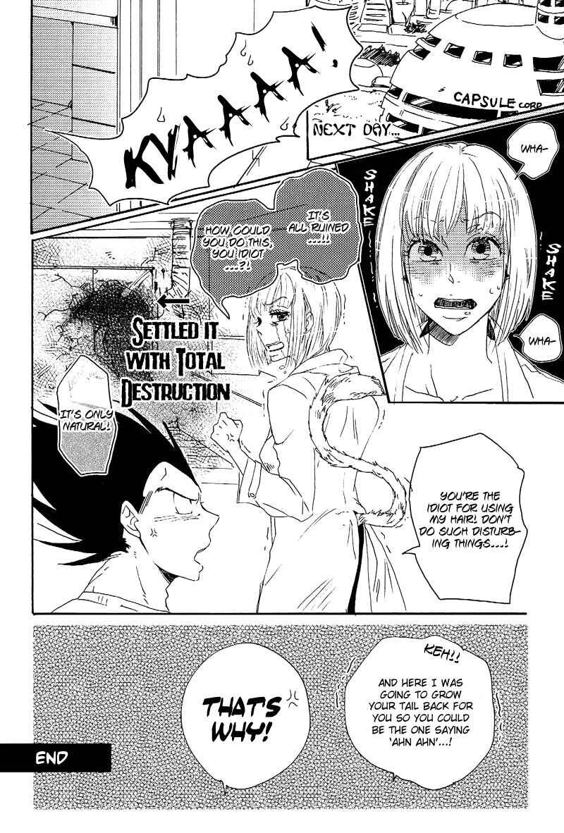 Page 33 Chapter Unknown_6db0 Dragon Ball Z - Tail Book (Doujinshi)