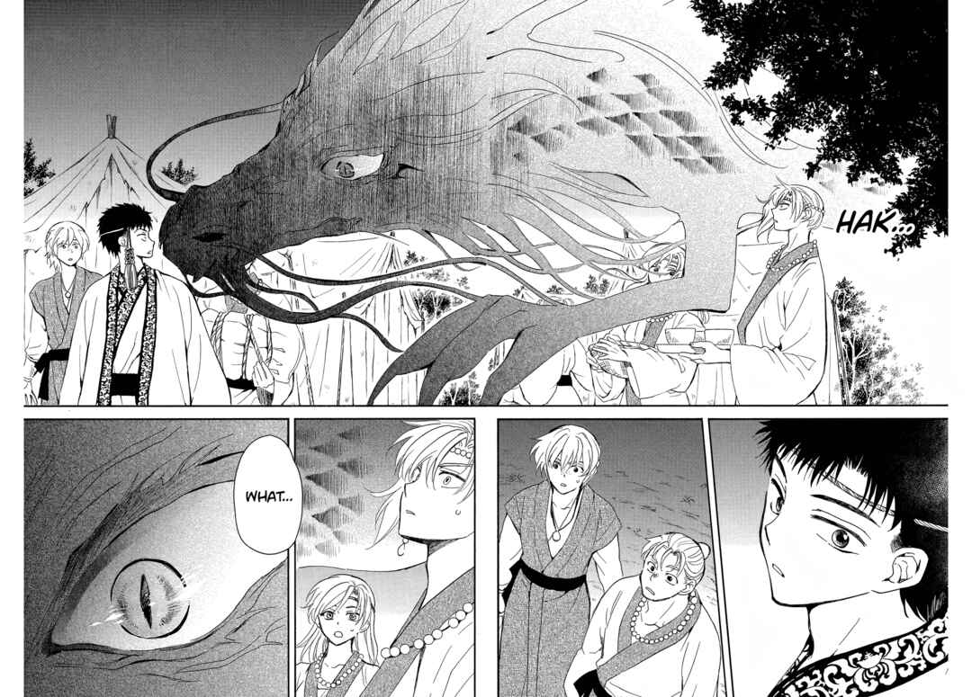 Page 13 Chapter 248 Akatsuki no Yona