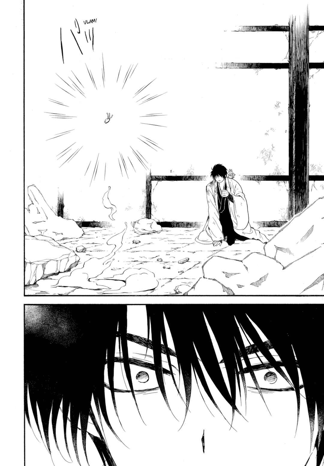 Page 14 Chapter 261 Akatsuki no Yona