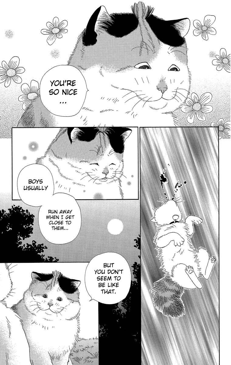 Page 5 Chapter 17 Zoccha no Nichijou