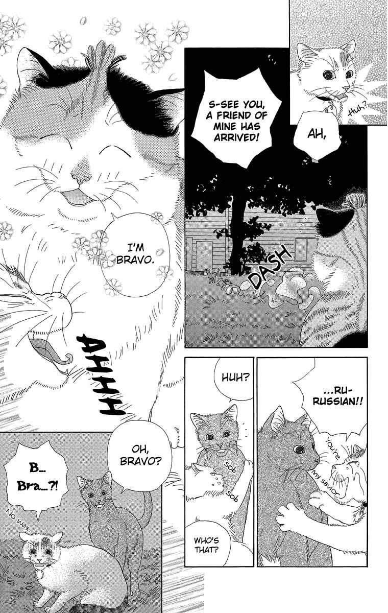 Page 7 Chapter 17 Zoccha no Nichijou