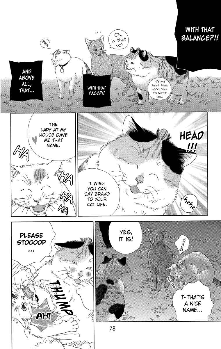 Page 8 Chapter 17 Zoccha no Nichijou