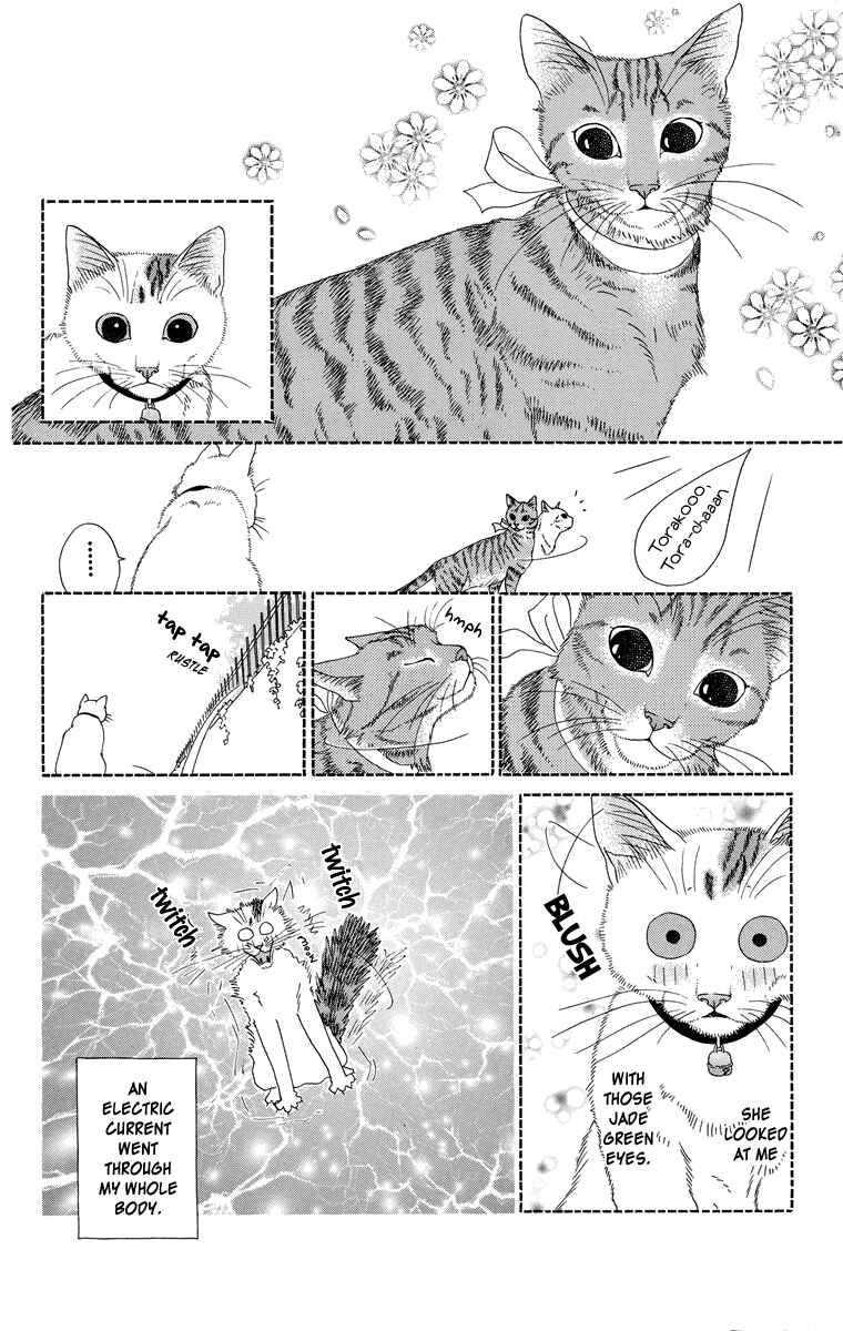 Page 8 Chapter 1 Zoccha no Nichijou
