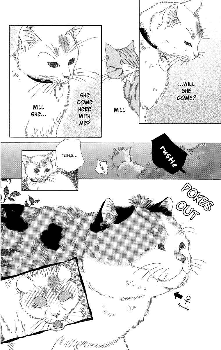 Page 10 Chapter 16 Zoccha no Nichijou