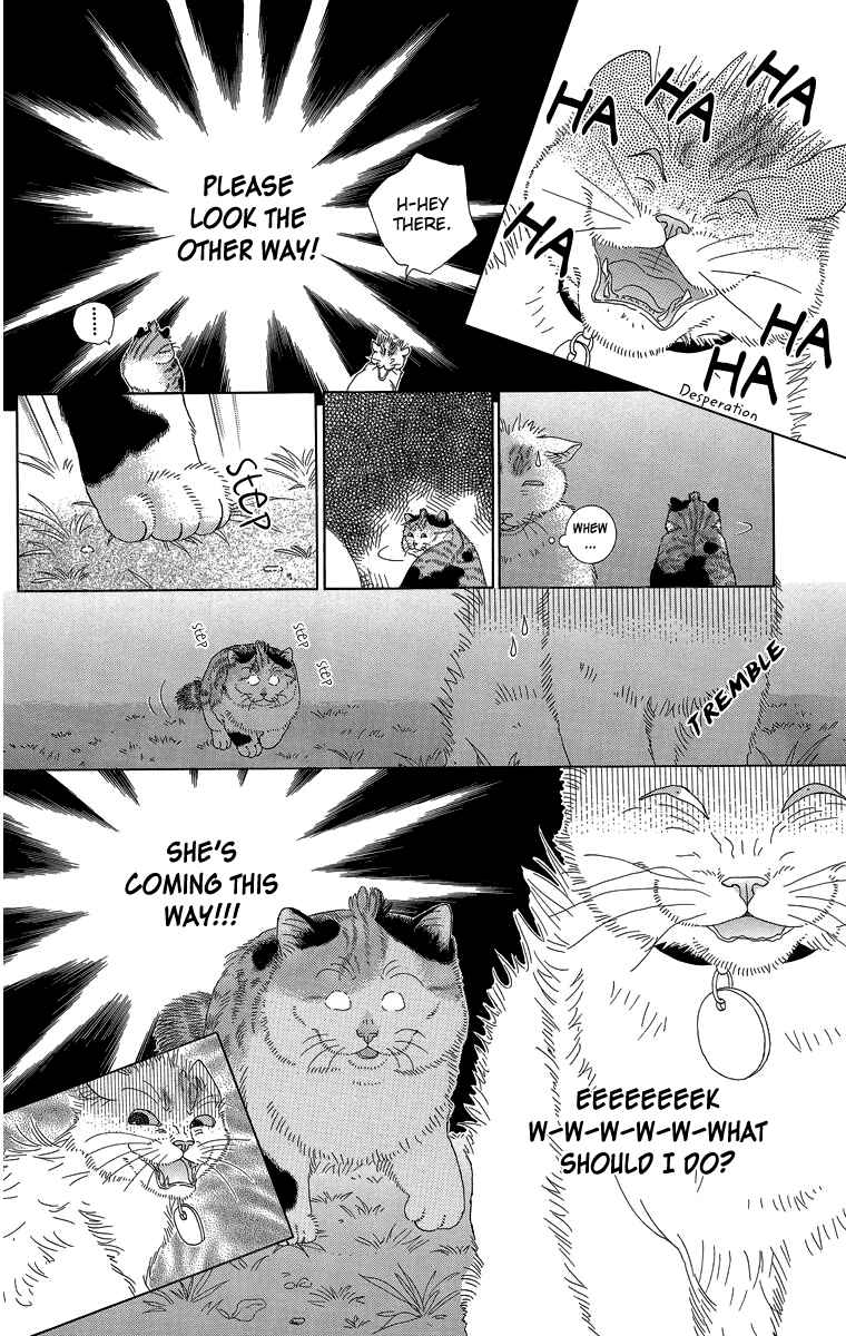 Page 12 Chapter 16 Zoccha no Nichijou