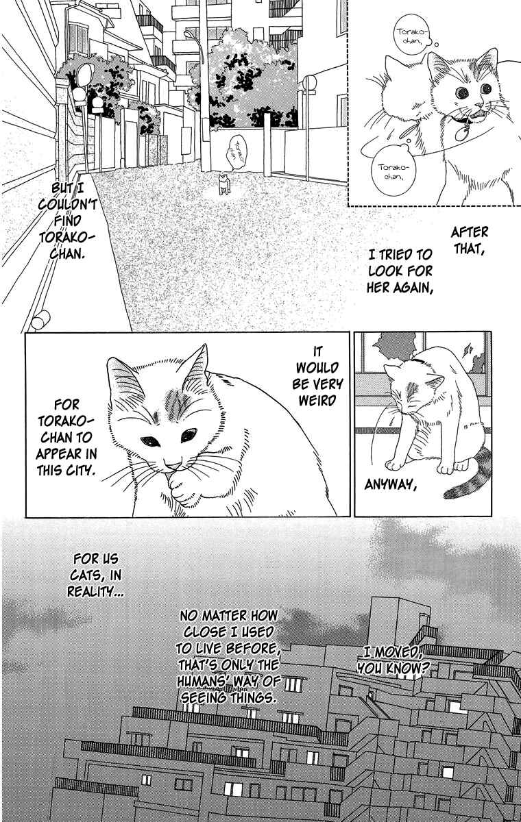 Page 6 Chapter 16 Zoccha no Nichijou
