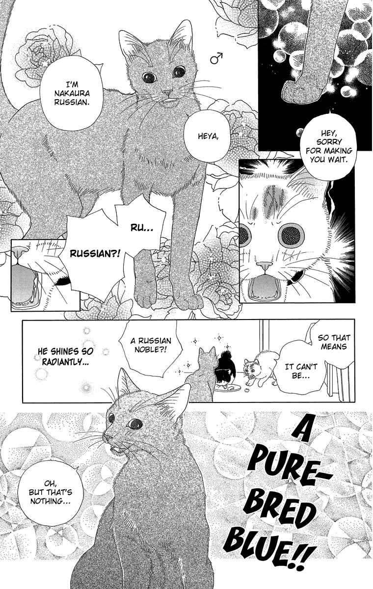 Page 5 Chapter 15 Zoccha no Nichijou