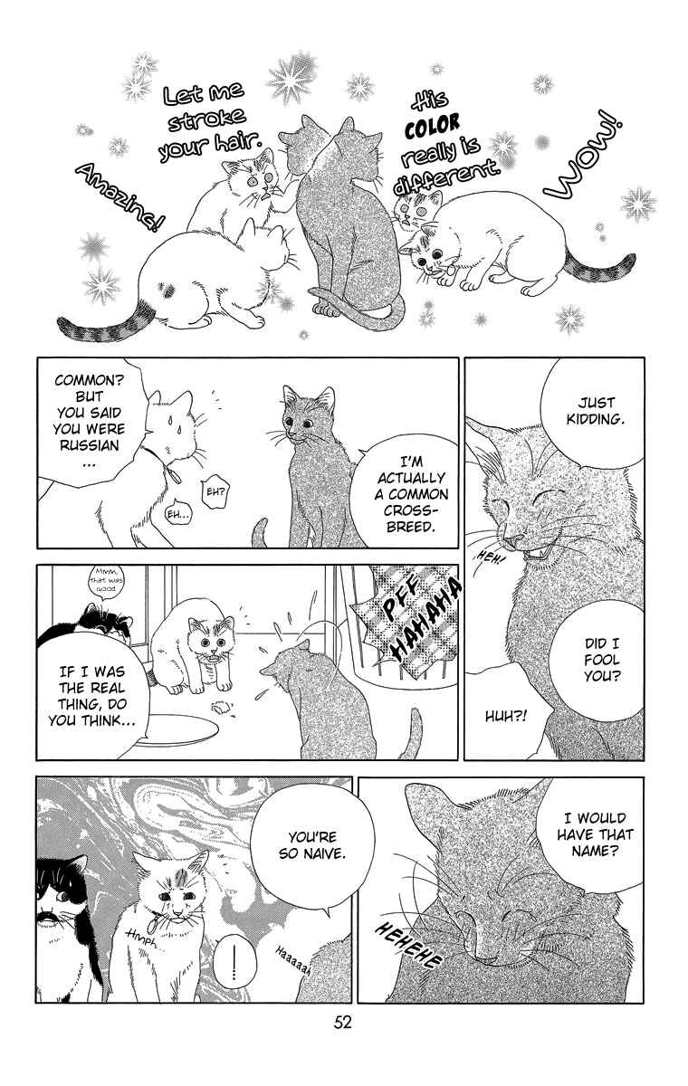 Page 6 Chapter 15 Zoccha no Nichijou