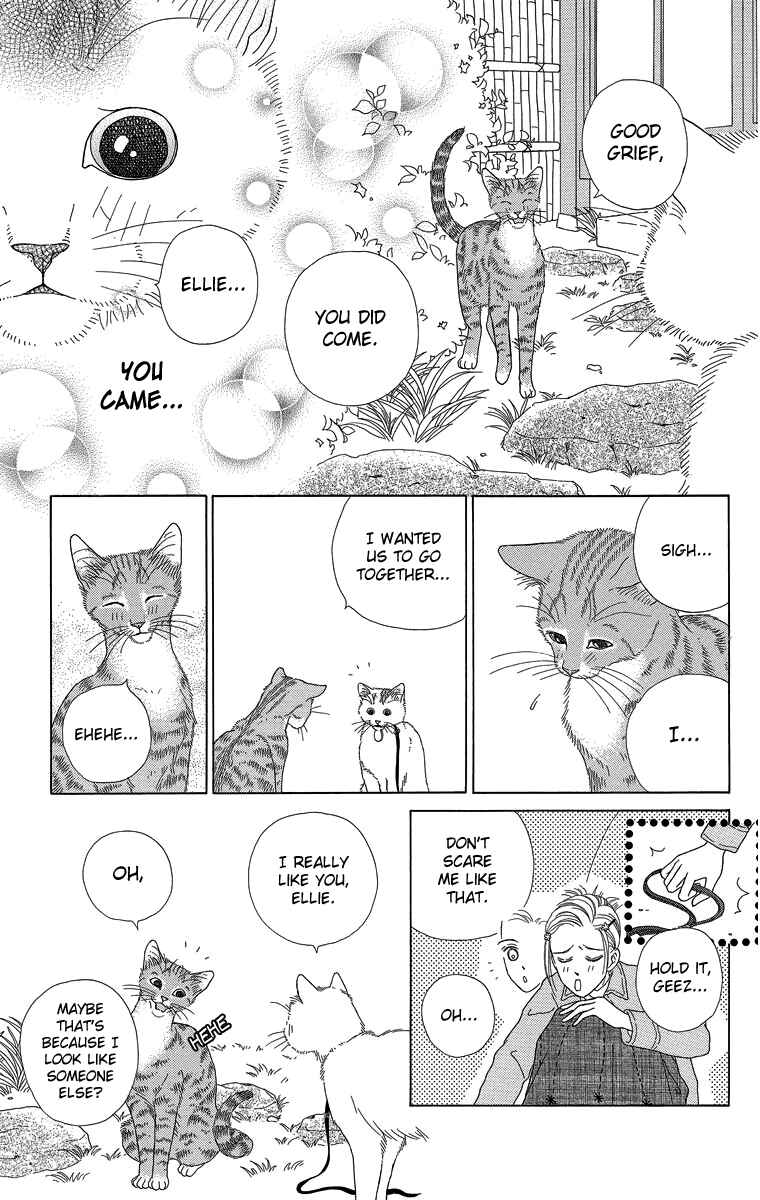 Page 29 Chapter 20 Zoccha no Nichijou