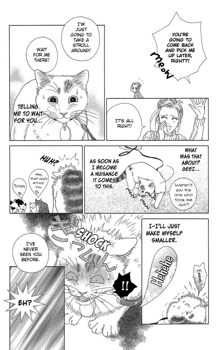 Page 4 Chapter 20 Zoccha no Nichijou