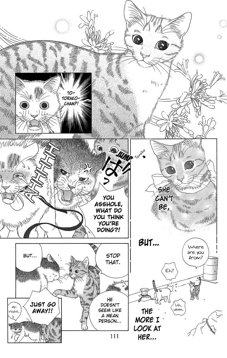 Page 5 Chapter 20 Zoccha no Nichijou
