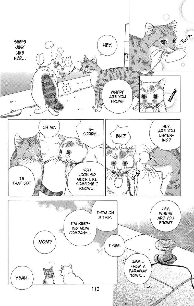 Page 6 Chapter 20 Zoccha no Nichijou