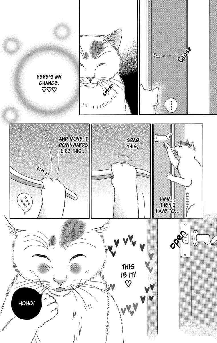 Page 8 Chapter 13 Zoccha no Nichijou