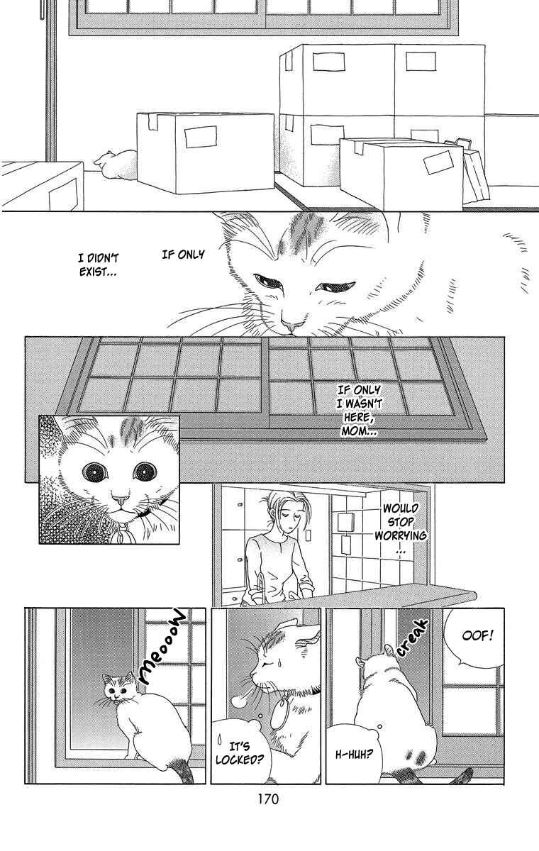 Page 8 Chapter 23 Zoccha no Nichijou