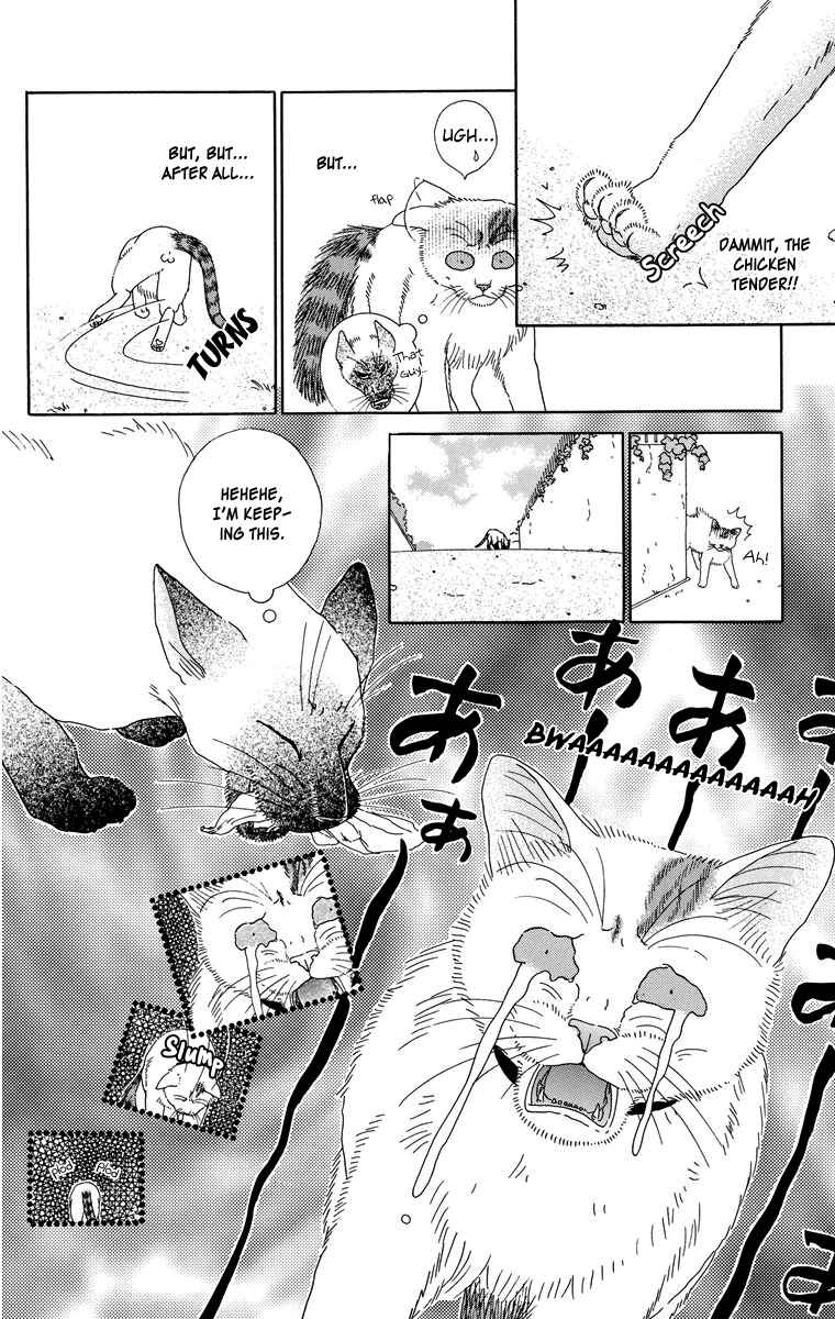 Page 10 Chapter 4 Zoccha no Nichijou