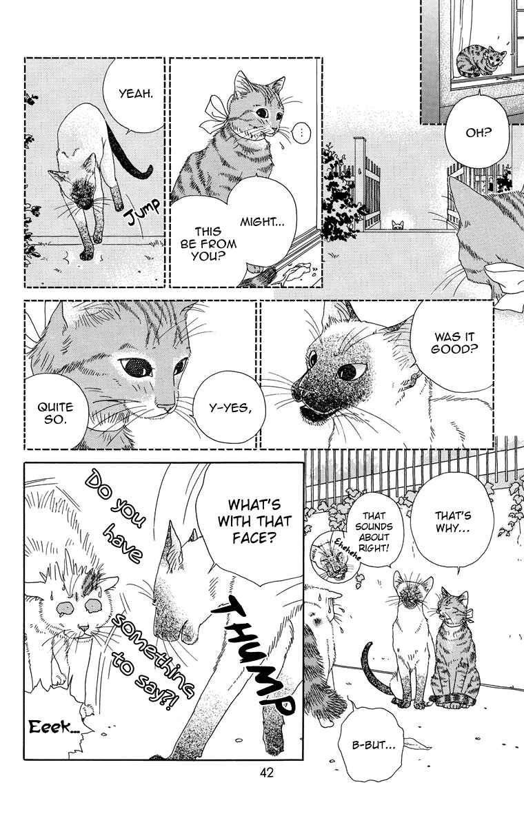 Page 8 Chapter 4 Zoccha no Nichijou