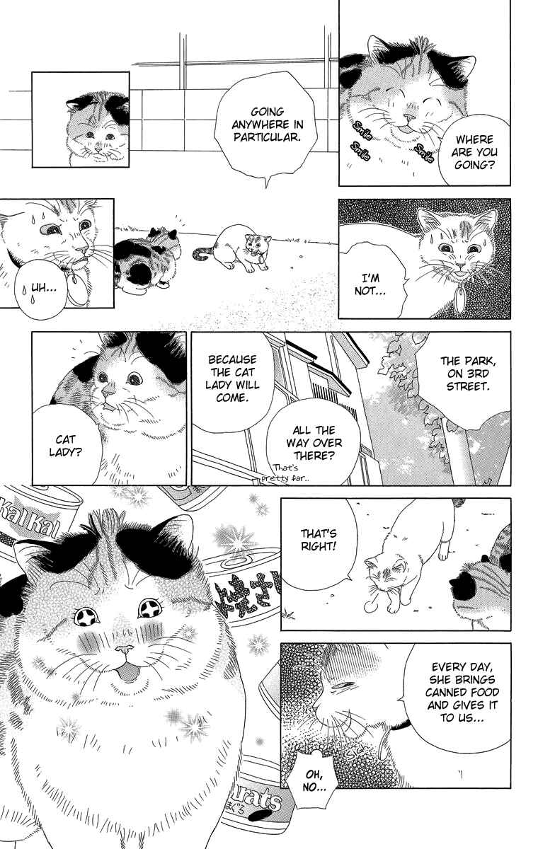 Page 3 Chapter 21 Zoccha no Nichijou