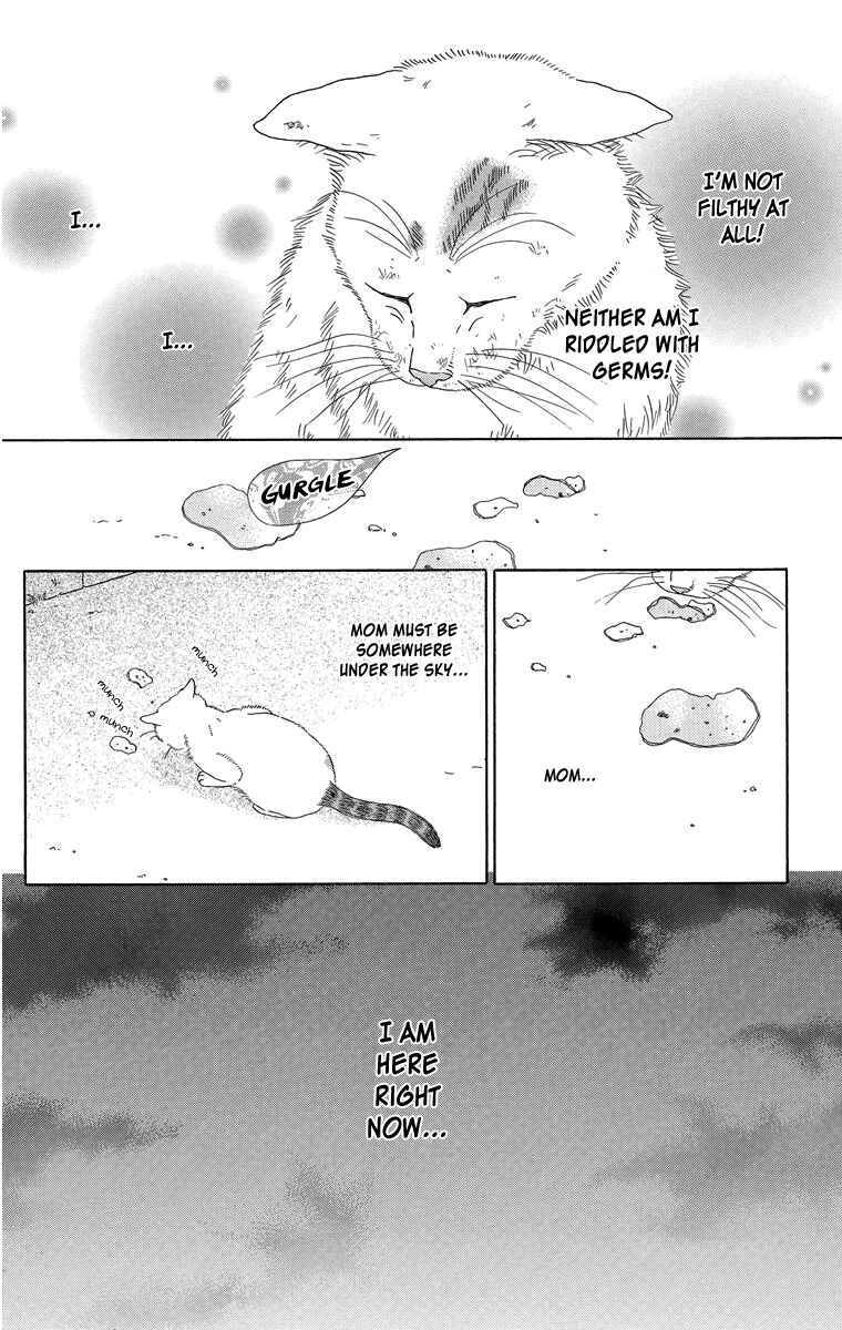 Page 12 Chapter 8 Zoccha no Nichijou