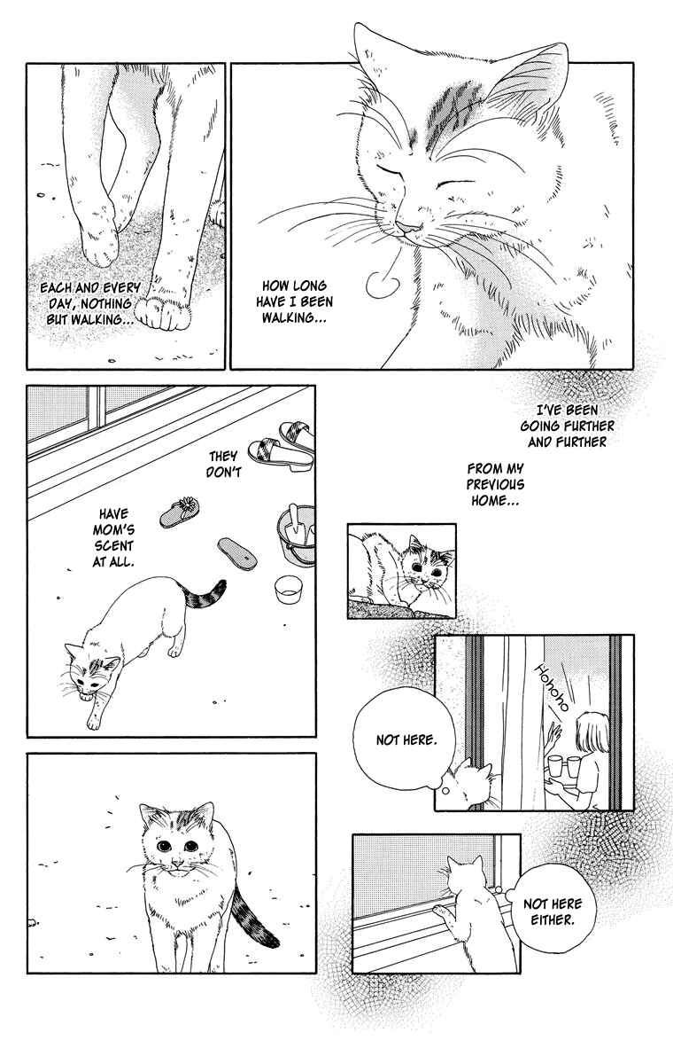 Page 4 Chapter 8 Zoccha no Nichijou