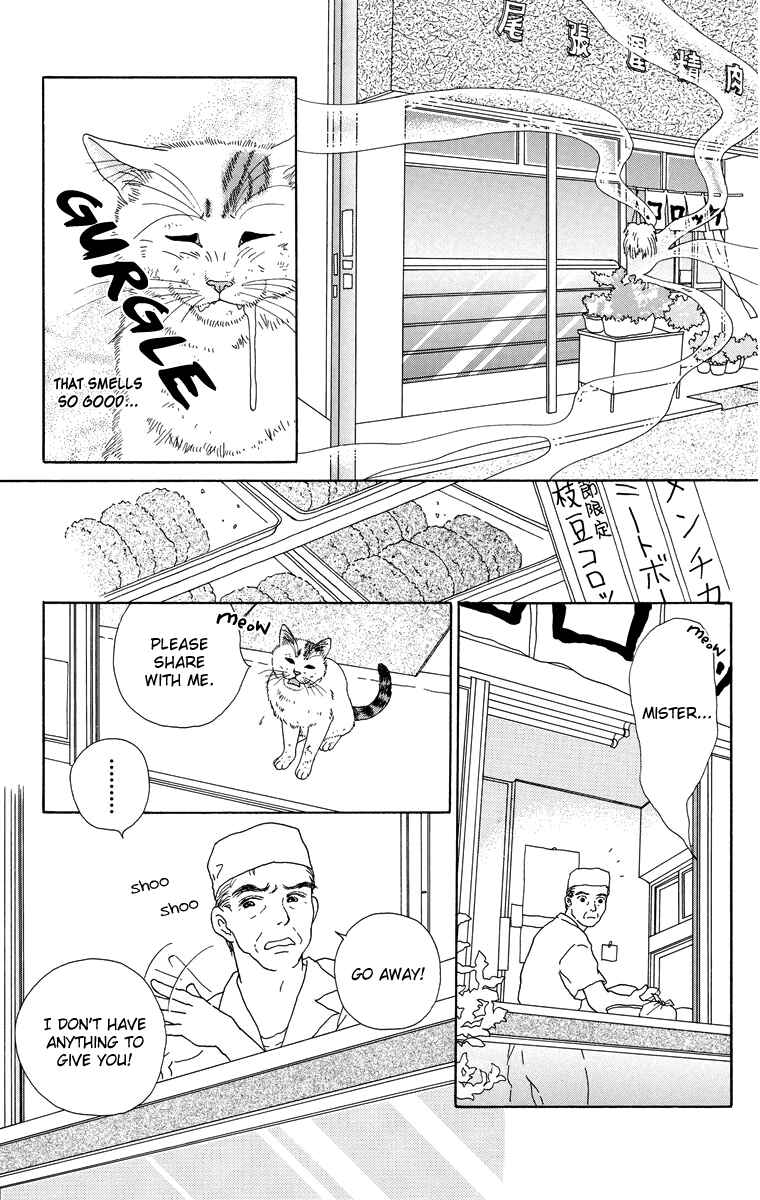 Page 5 Chapter 8 Zoccha no Nichijou