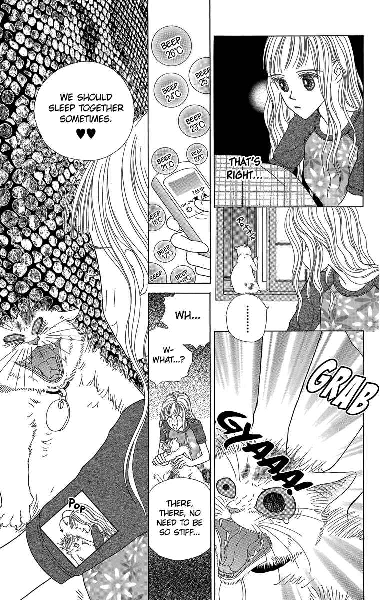 Page 8 Chapter 26 Zoccha no Nichijou