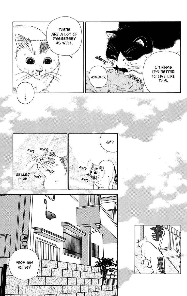 Page 11 Chapter 9 Zoccha no Nichijou