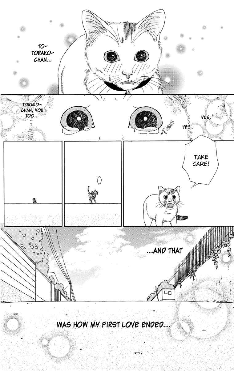 Page 12 Chapter 6 Zoccha no Nichijou