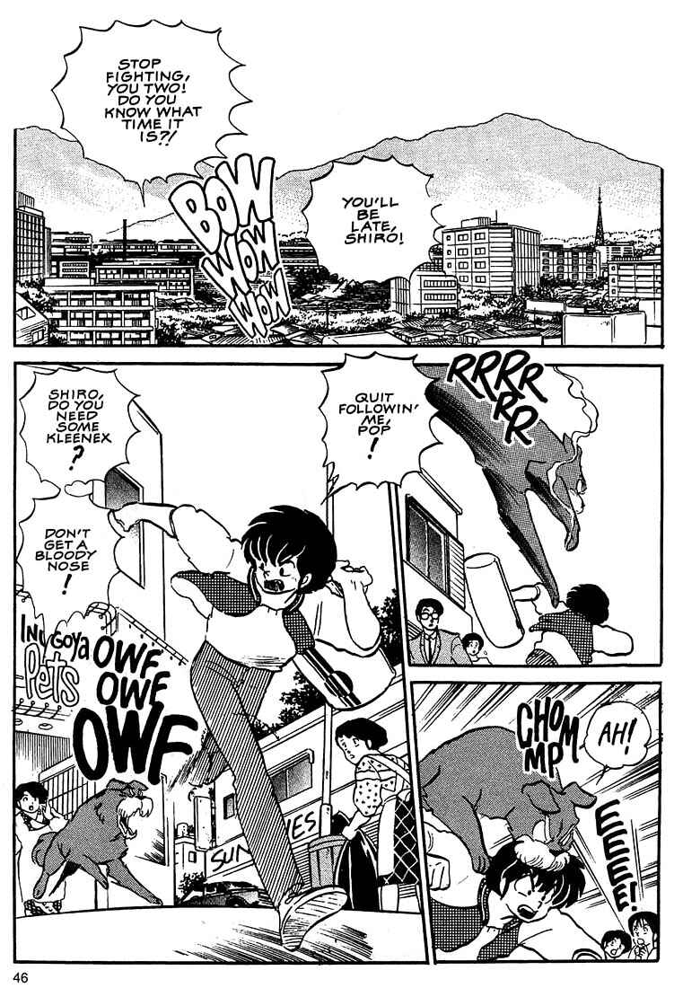 Page 2 Chapter 2 1 or W