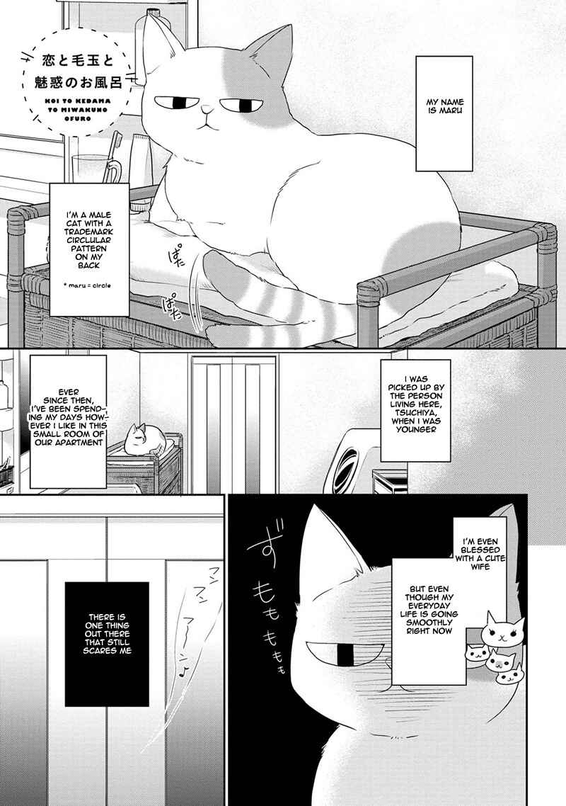 Page 2 Chapter 3 Koi to Kedama to Otonari-san