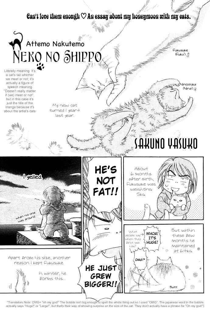 Page 3 Chapter Unknown_fb5e Attemo Nakutemo Neko no Shippo