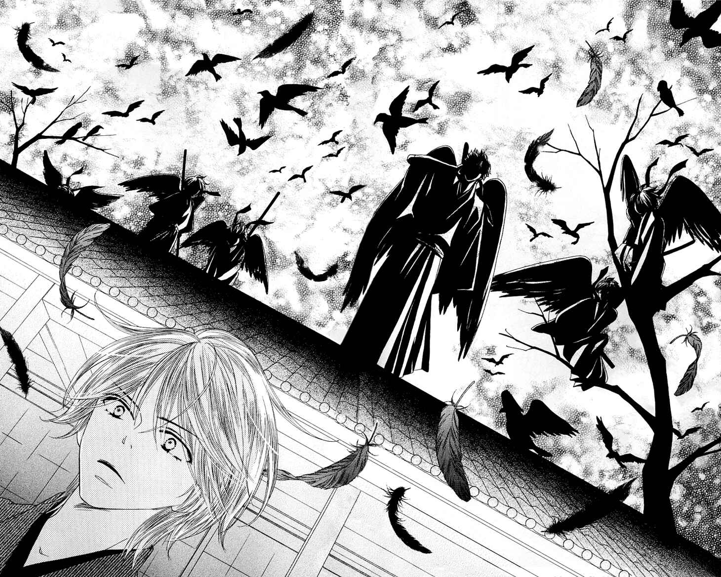 Page 25 Chapter 11 Black Bird