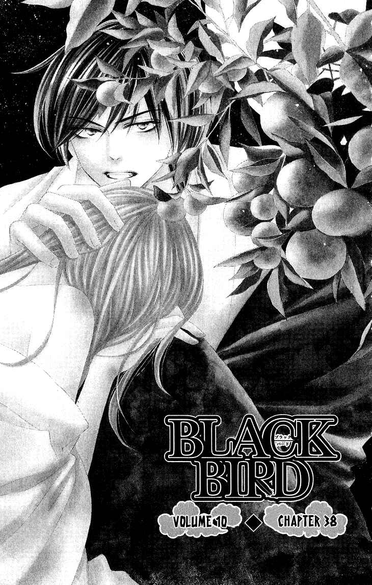 Page 3 Chapter 38 Black Bird