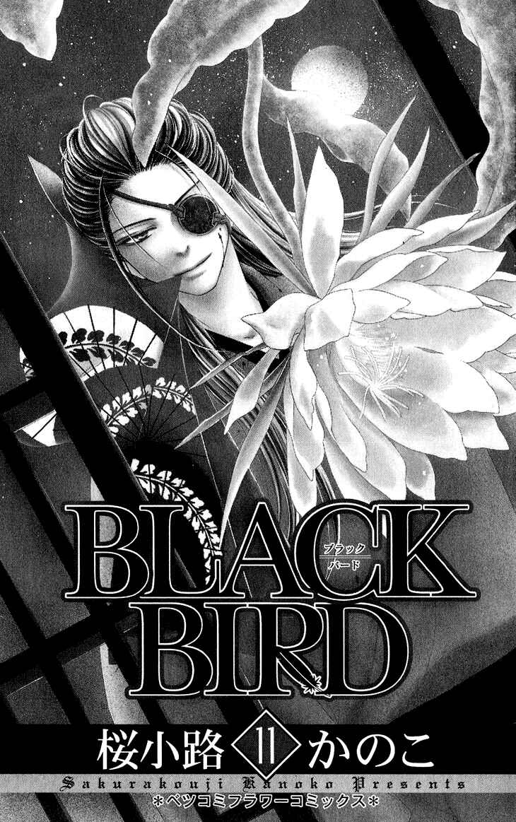 Page 6 Chapter 40 Black Bird