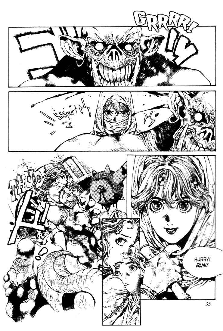 Page 29 Chapter 1 Record of Lodoss War - The Lady of Pharis