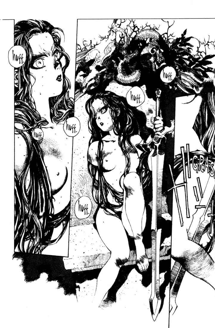 Page 2 Chapter 8 Record of Lodoss War - The Lady of Pharis