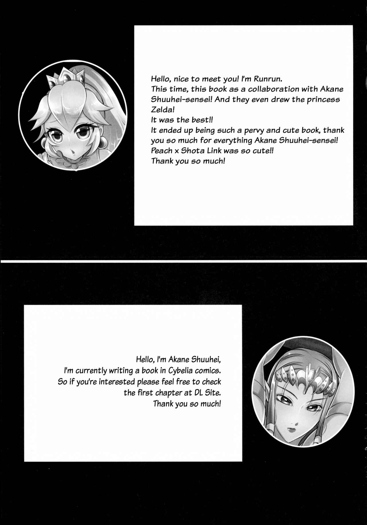 Page 15 Chapter Unknown_7414 The Legend of Zelda, Super Mario Brothers - Partner Trade (Doujinshi)