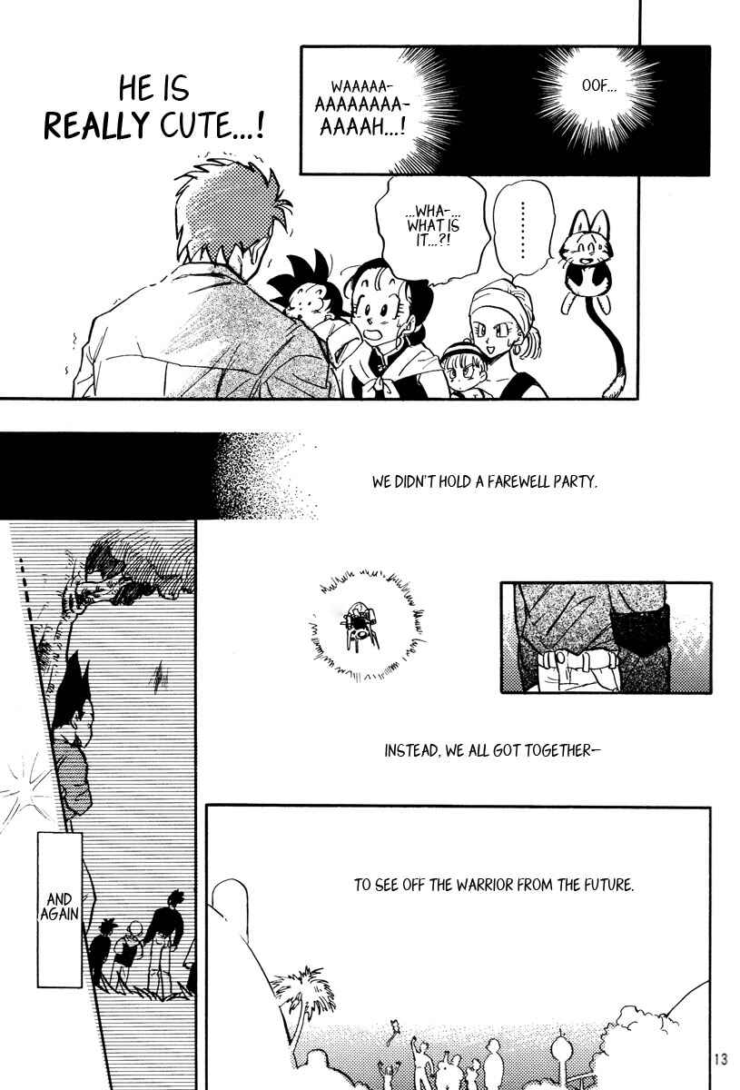 Page 13 Chapter Unknown_655c Dragon Ball - Wolf Storm (Doujinshi)