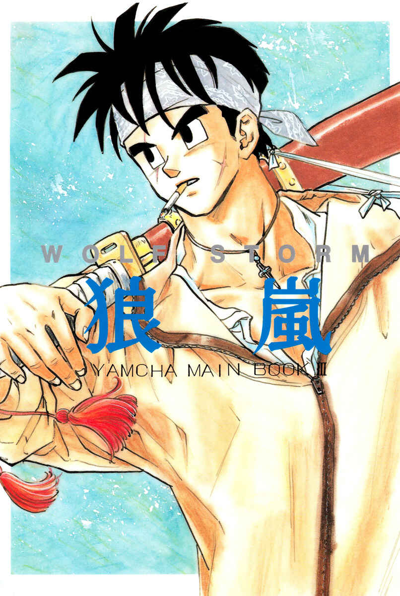 Page 2 Chapter Unknown_655c Dragon Ball - Wolf Storm (Doujinshi)