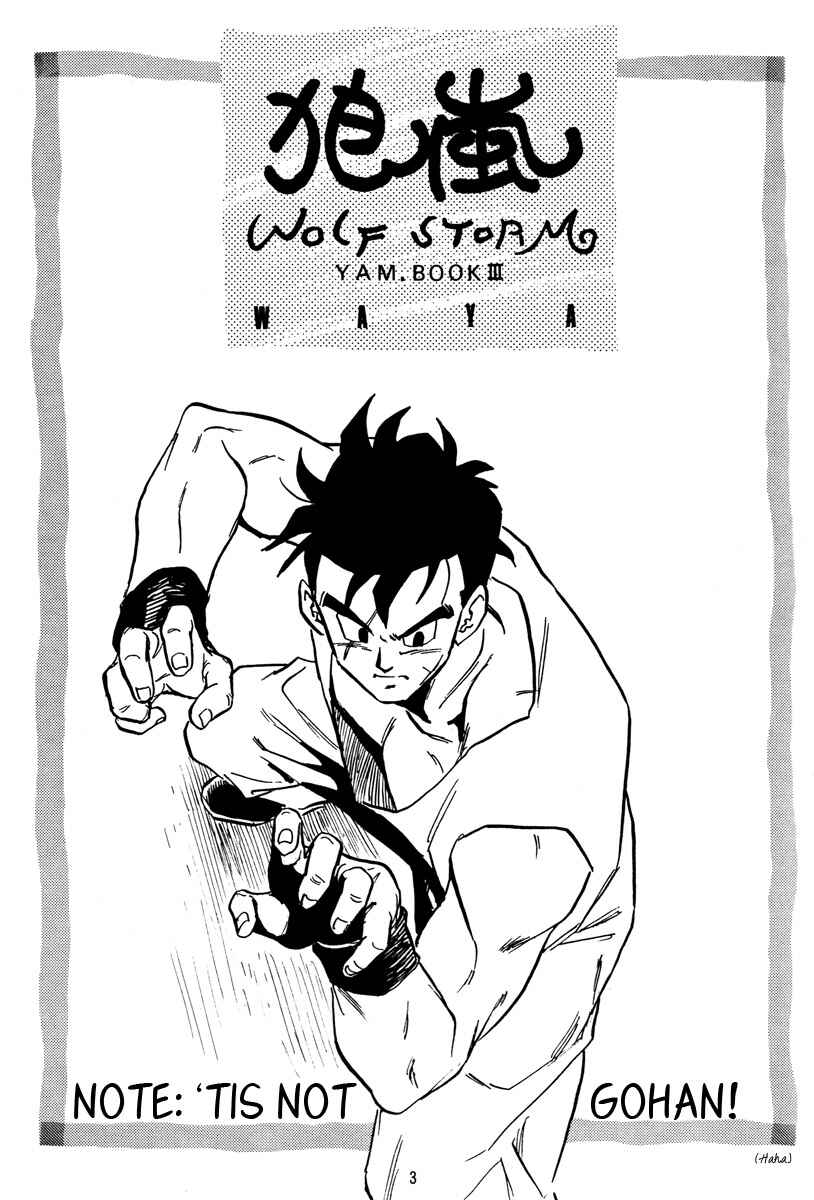 Page 3 Chapter Unknown_655c Dragon Ball - Wolf Storm (Doujinshi)