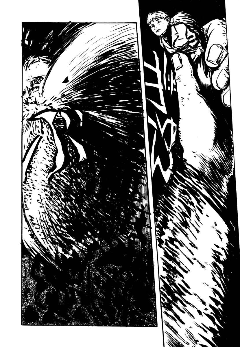 Page 21 Chapter 15 Japan Tengu Party Illustrated