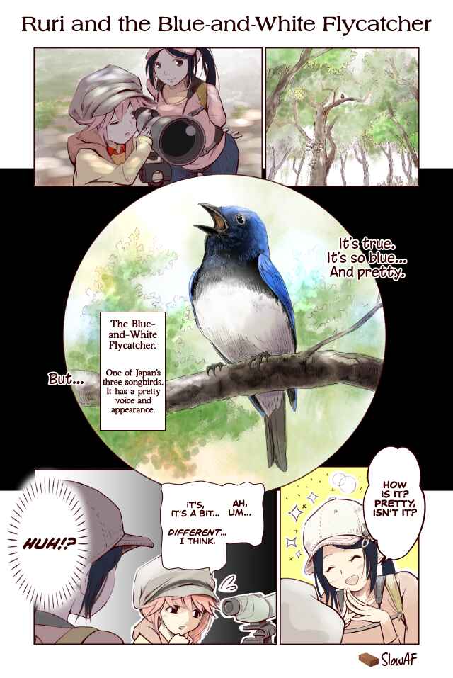 Page 1 Chapter 24 Torimibu no Takanashi-san