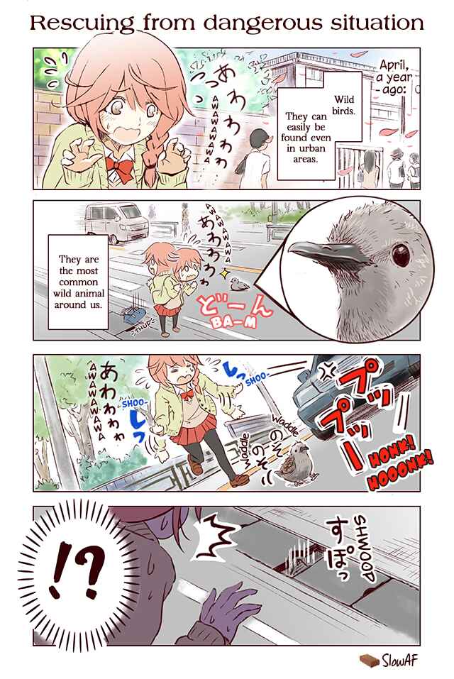 Page 1 Chapter 4 Torimibu no Takanashi-san