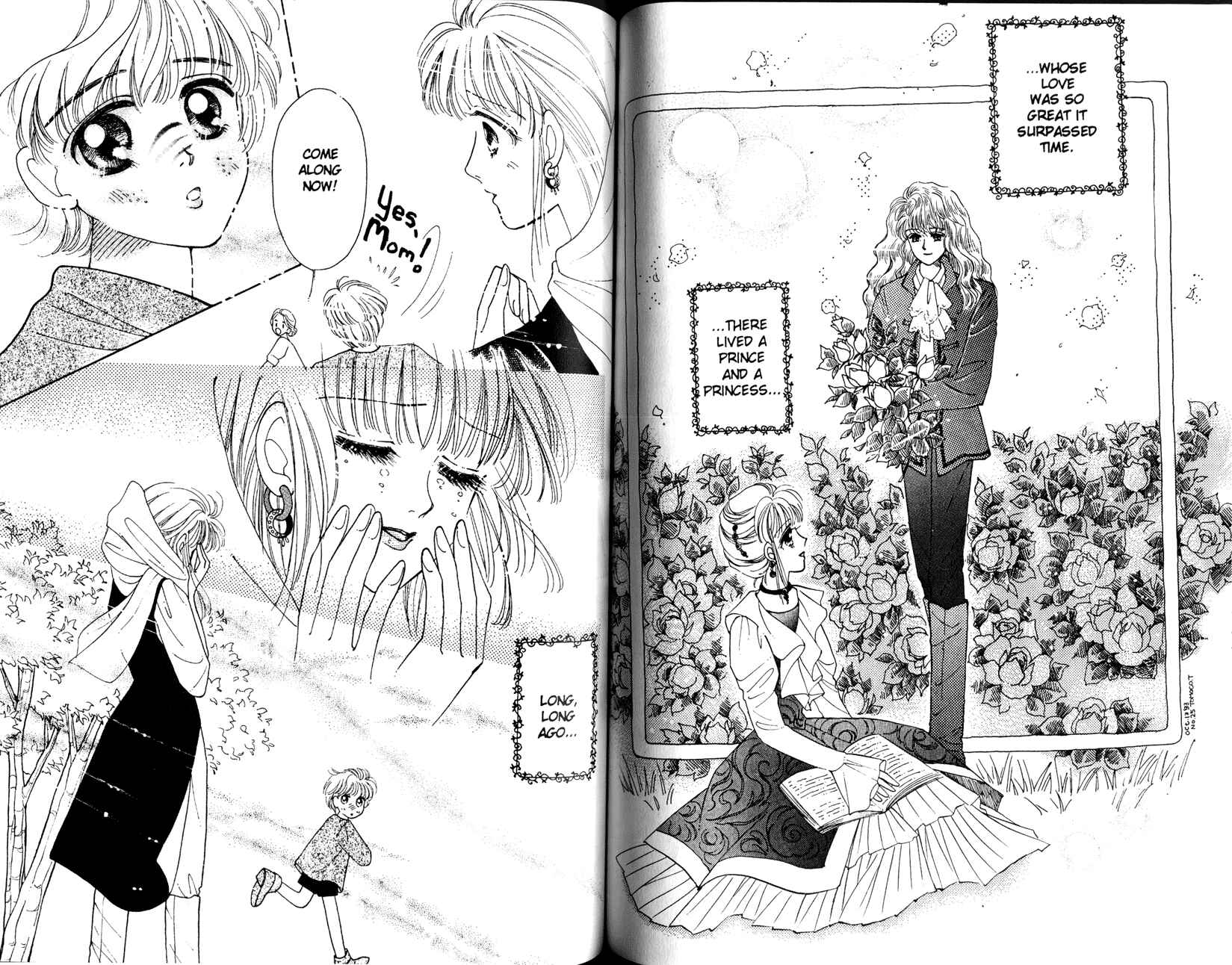 Page 28 Chapter 2 Princess Prince