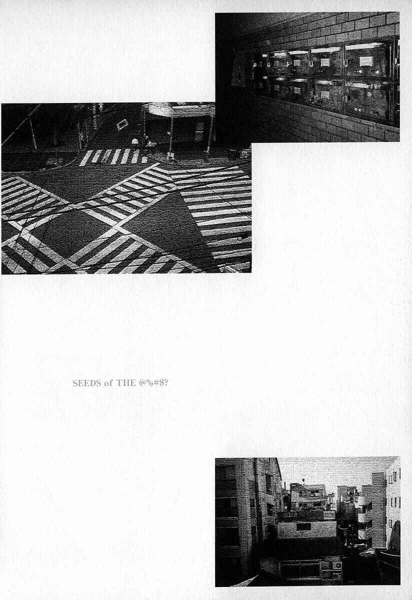 Page 31 Chapter 11 Fuan no Tane