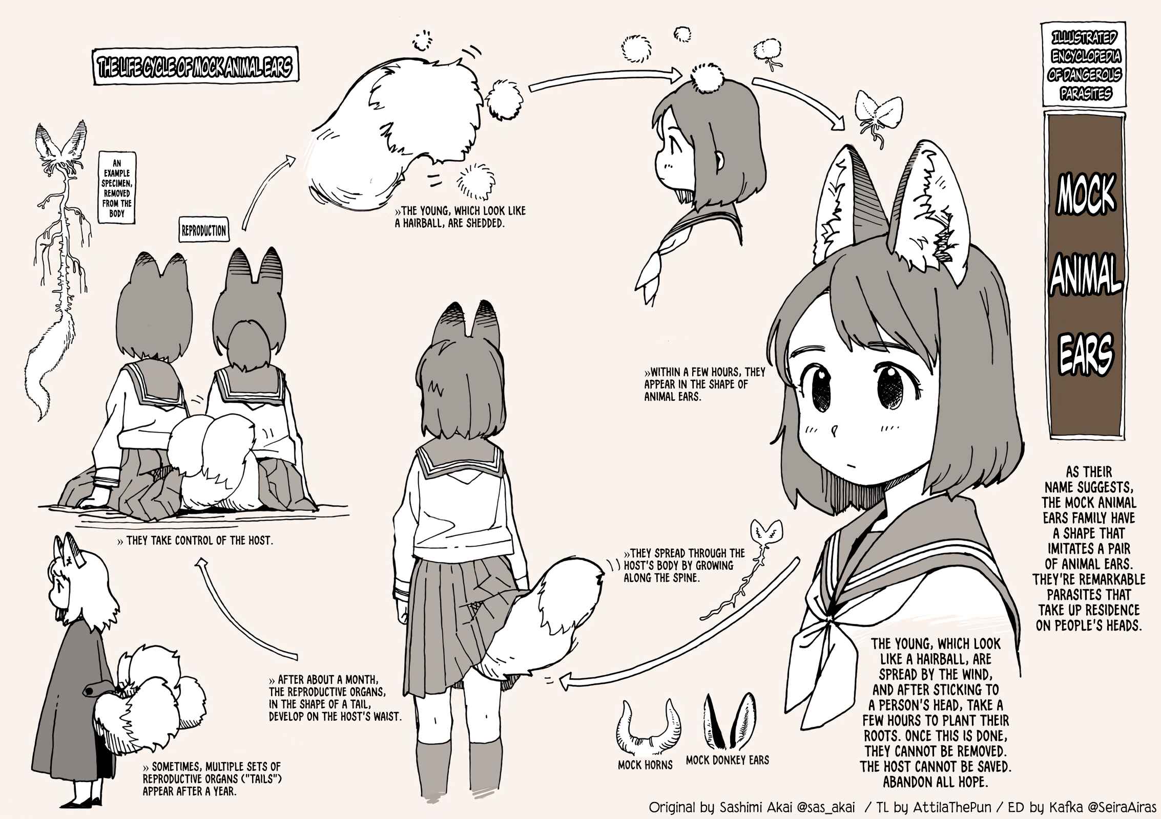 Page 1 Chapter Unknown_f254 The Life Cycle of Mock Animal Ears