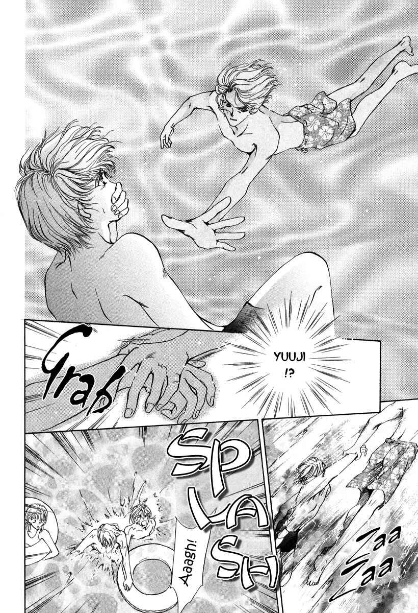 Page 13 Chapter 3 Gerbera
