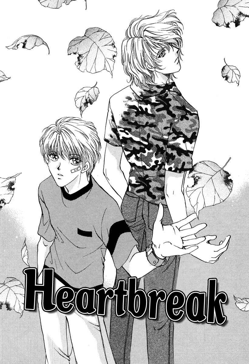 Page 2 Chapter 4 Gerbera